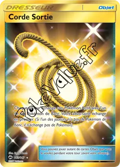 Carte Pokémon Corde Sortie n°163 de la série Ombres Ardentes